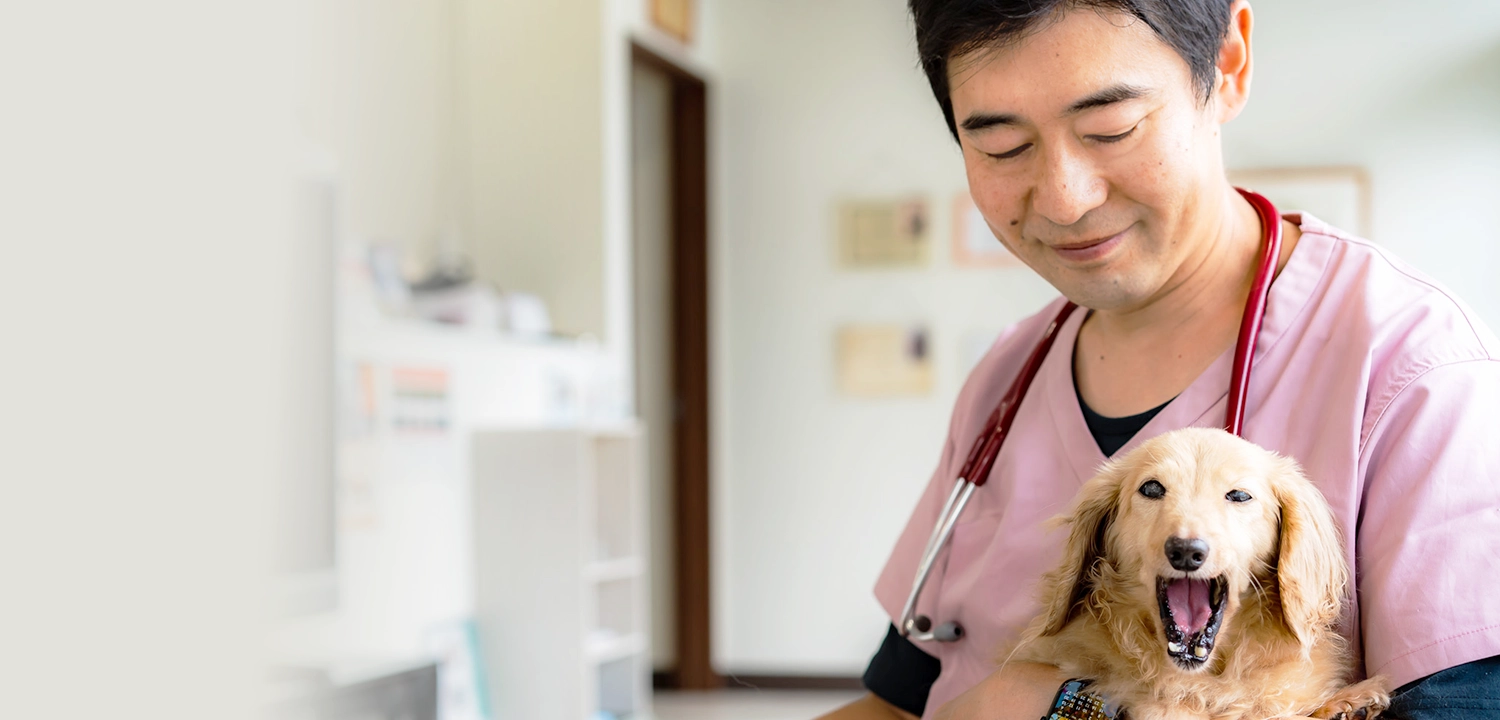 写真：トピア動物病院